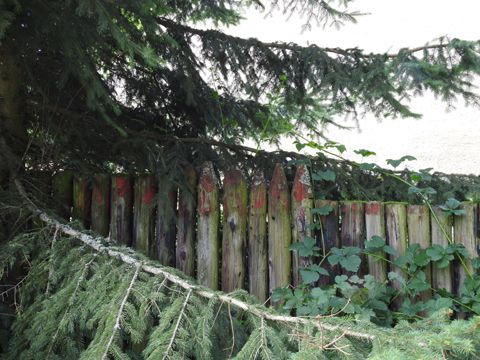 Foto 64